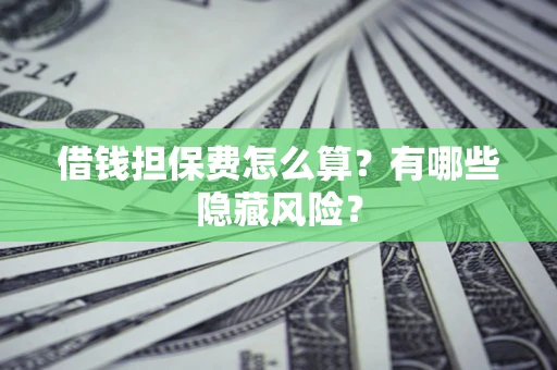 武汉借钱担保费怎么算？有哪些隐藏风险？