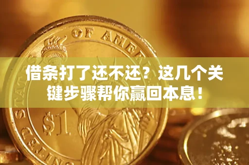 武汉借条打了还不还？这几个关键步骤帮你赢回本息！