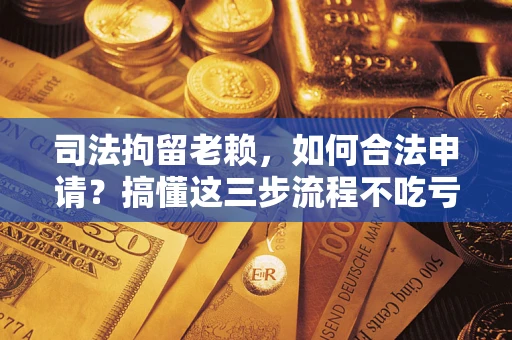 武汉司法拘留老赖，如何合法申请？搞懂这三步流程不吃亏！