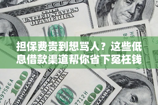 武汉担保费贵到想骂人？这些低息借款渠道帮你省下冤枉钱