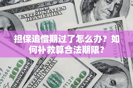 武汉担保追偿期过了怎么办？如何补救算合法期限？