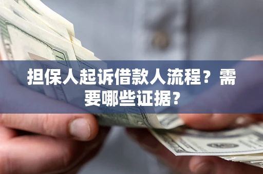 武汉担保人起诉借款人流程？需要哪些证据？