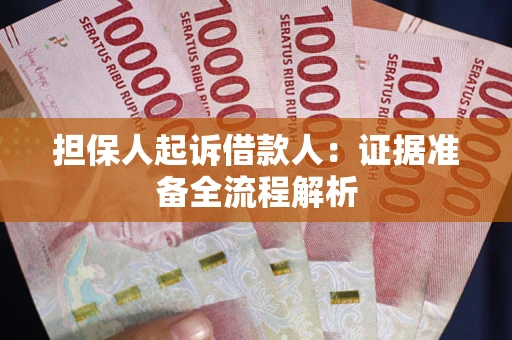 武汉担保人起诉借款人：证据准备全流程解析
