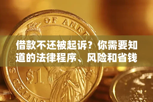 武汉借款不还被起诉？你需要知道的法律程序、风险和省钱技巧