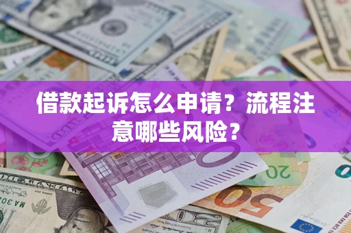 武汉借款起诉怎么申请？流程注意哪些风险？