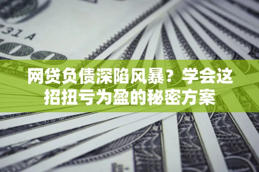 武汉网贷负债深陷风暴？学会这招扭亏为盈的秘密方案